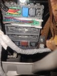 20230323_071716.jpg